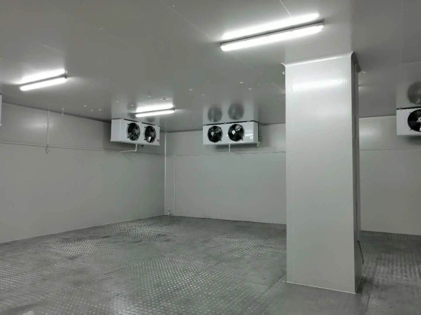 冷库全套设备指南 水果保鲜、海鲜肉类冻库与冷藏技术的全面解析